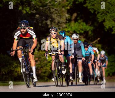 Cyclists caught in action whilst competing in a Criterium Race at Crystal Palace Park. Stock Photo