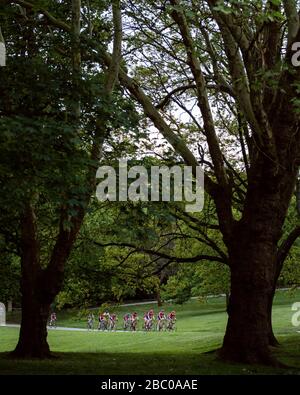 A view through trees as cyclists compete in a Criterium Race at Crystal Palace Park. Stock Photo