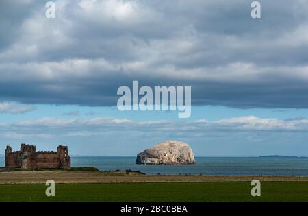 East Lothian, Scotland, United Kingdom. 2nd Apr, 2020. UK Weather: The Bass Rock gannet seabird colony in the Firth of Forth is lit up by sunshine while Tantallon Castle is in shadow on a sunny day with blue sky Stock Photo