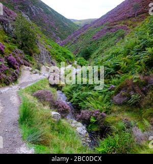 Carding Mill Valley on the outskirts of the Long Mynd range and the town of Church Stretton in the Shropshire Hills Area of Outstanding Natural Beauty. Stock Photo