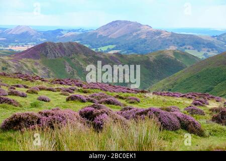 The Long Mynd range on the outskirts of the town of Church Stretton in the Shropshire Hills Area of Outstanding Natural Beauty, UK Stock Photo