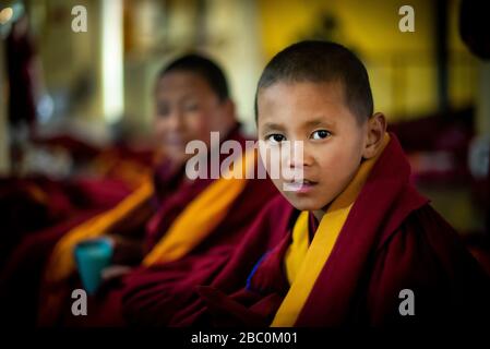 The Tsuglagkhang Complex in Dharamsala is the Dalai Lama's official residence since he was exiled from Tibet.It's a very peaceful temple . Stock Photo