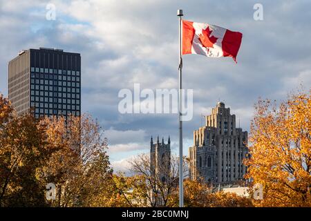 CANADIAN FLAG IN AUTUMN COLORS NEAR THE BUSINESS DISTRICT MONTREAL, QUEBEC, CANADA Stock Photo