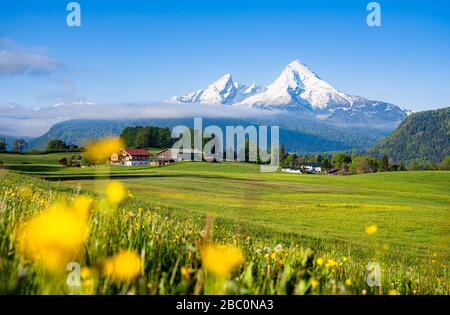 Scenic panoramic view of idyllic alpine mountain scenery with colorful blooming meadows and beautiful snowcapped mountain peaks in mystic fog Stock Photo