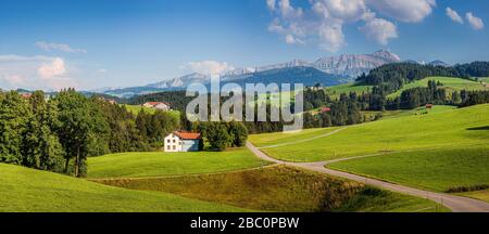 Beautiful view of idyllic Swiss mountain scenery in the Alps with green meadows and famous Saentis summit in the background in summer, Switzerland