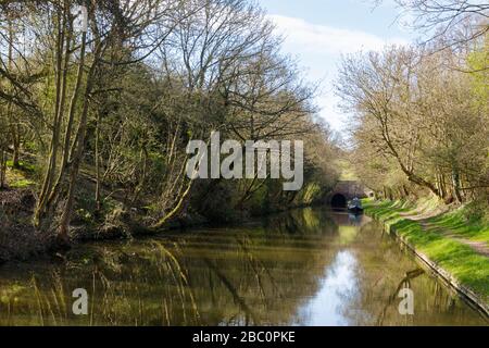 Crick, Northamptonshire, April 2020: The Grand Union Canal in a cutting with reflected trees on both sides. Crick tunnel is in the distance. Stock Photo