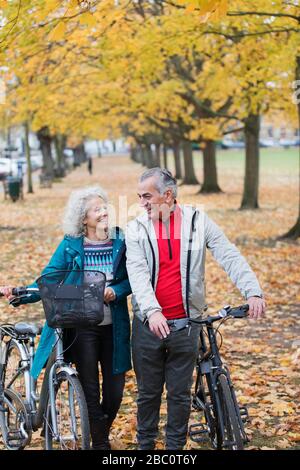 Senior couple walking bicycles among trees and leaves in autumn park Stock Photo