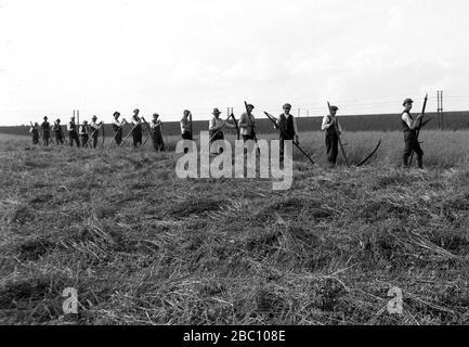 Farm labourers workers working Bavaria, Germany 1921 Stock Photo