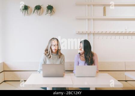 Two women using laptops in a cafe Stock Photo