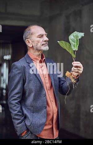 Senior businessman holding plant seedling Stock Photo