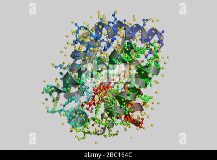 Hämoglobin molecular model with atoms Stock Photo