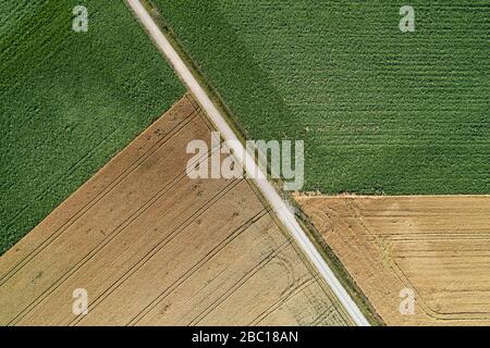 Aerial view of rural road (tire track) through agricultural fields, full frame. Franconia, Bavaria, Germany, Europe.