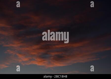 Backgrounds for photography. Stock Photo