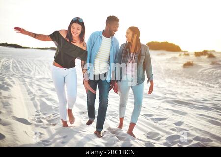 Playful young friends walking on sunny beach Stock Photo