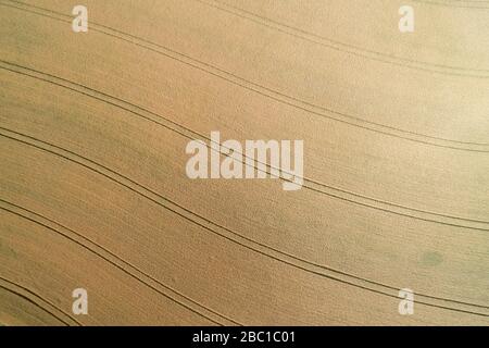 Aerial view of tire tracks in agricultural field with ripe cereal plant. Franconia, Bavaria, Germany. Stock Photo