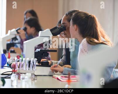 Girl students using microscope, conducting scientific experiment in laboratory classroom Stock Photo