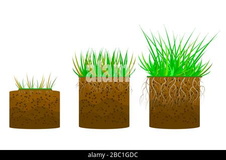 Set grass with ground isolated on white background. Soil layer with grass,roots and earth. Cross section ground slice. Piece of land with grass.Vector Stock Vector
