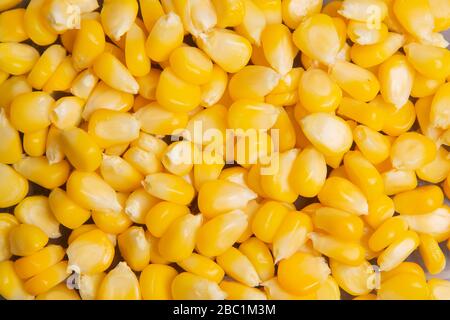 Corn kernels,Canned corn background Stock Photo