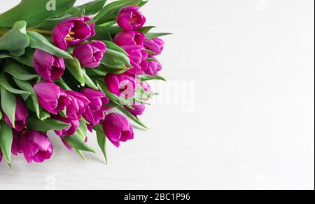 Bouquet of spring purple tulips on white wooden background top view. Spring background. Holiday greeting card. Copy space. Stock Photo
