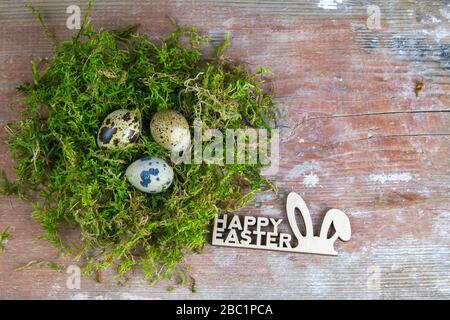 Quail eggs stand in a nest of green moss next is a sign of the Happy Easter. Top views Stock Photo