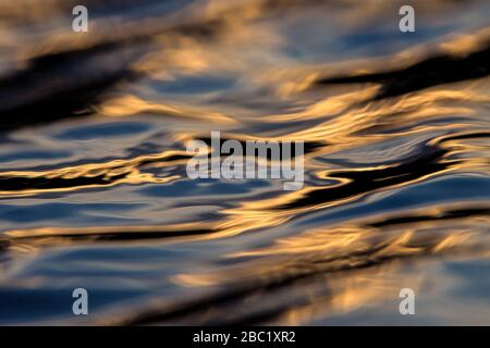 A beautiful close up of golden and blue ripples on the surface of a waterhole, taken at sunset in the Madikwe Game Reserve, South Africa. Stock Photo