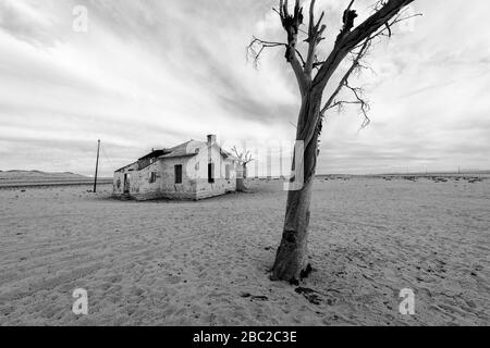 A spooky black and white desert landscape taken near Luderitz, Namibia, with an abandoned old house and a dead tree against a stormy and moody, cloudy Stock Photo