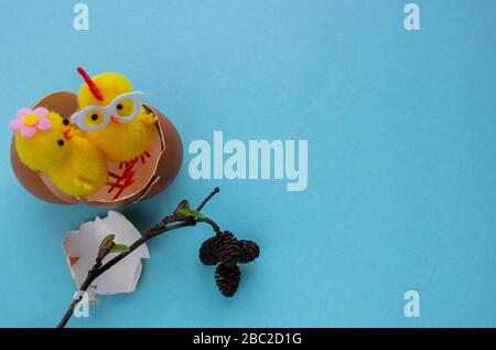 Yellow toy chickens hatched from an egg, on a blue background. space for text Stock Photo