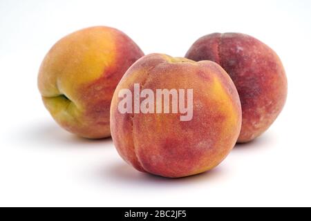 Several peaches isolated on white background. Stock Photo