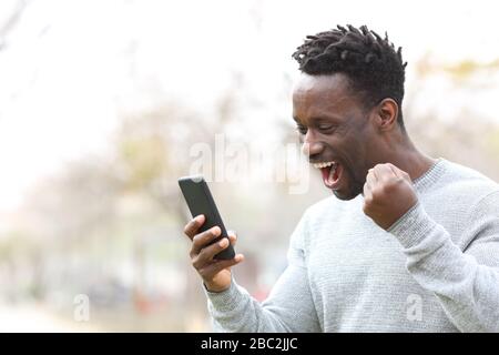Excited black man celebrating mobile phone news standing in a park Stock Photo
