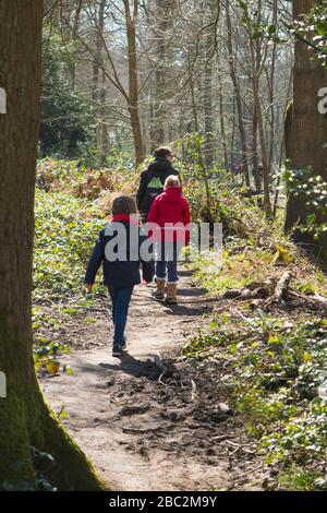 Mother / mum / mum walking with her three children on a spring day on a path through trees woodland woods on West End  Common, Esher, Surrey. UK (116) Stock Photo