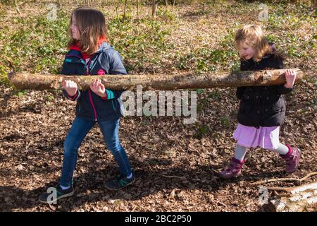 Two young girls / kids / kid in wood woodland collect a fallen tree branch / log which they could build with for Forest School or use for firewood fire wood in a bonfire. England UK (116) Stock Photo