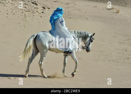 Rider in traditional clothes rides an arabian horse in the desert. Horizontal, side view, in motion. Stock Photo