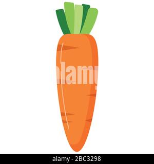 Carrot vector icon isolated on white background. Stock Vector