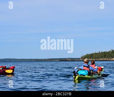 Tandem kayakers off the Bar Harbor Atlantic coast near Acadia National Park in Maine on a wildlife viewing tour seeing Harbor Seals and other animals. Stock Photo
