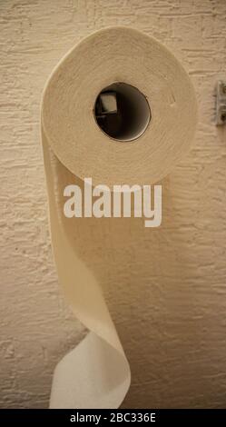 toilet paper in bathroom Stock Photo