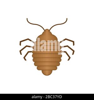 Bed bug isolated. bedbug. chinch vector illustration Stock Vector