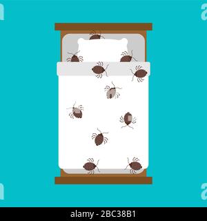Bedbug in bed. chinch insect vector illustration Stock Vector