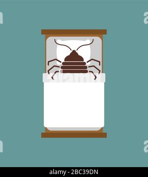 Bedbug in bed. chinch insect vector illustration Stock Vector