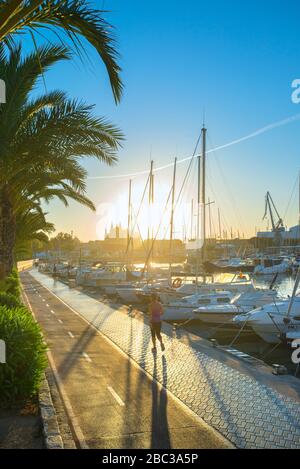 Joggers alongside cycle path at Sunrise Paseo Maritimo with harbour and Cathedral, Palma de Mallorca, Balearics, Spain Stock Photo