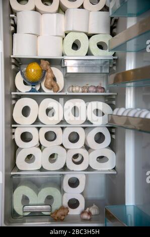 A supply of toilet paper , stored in the refrigerator with garlic, lemon , and ginger. A funny photo. Stock Photo