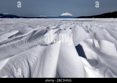 Textures and lines in blown snow on Atlin Lake, with blue sky, forest and Mount Minto. On one of those crisp arctic winter mornings. Nature's elegance Stock Photo