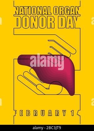 National organ donor day. Hands hold liver. 14th of February. Postcard, poster for holiday Stock Vector
