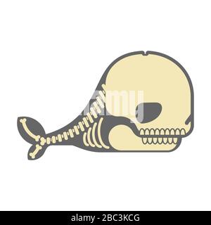 Whale skeleton isolated cartoon. skull silhouette underwater animal. vector illustration Stock Vector