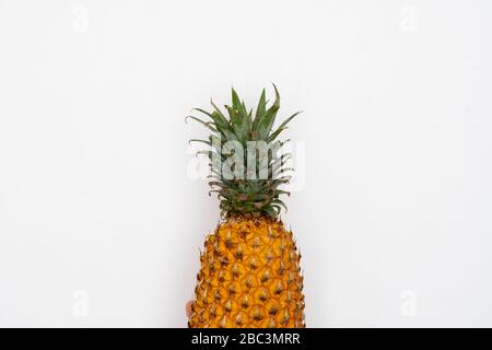 Female hand holding ripe pineapple on a white background. Stock Photo
