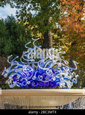 Dale Chihuly glass blowing art at Atlanta Botanical Garden - blue ...