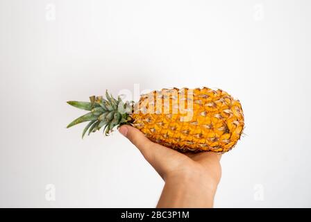 Female hand holding ripe pineapple on a white background. Stock Photo