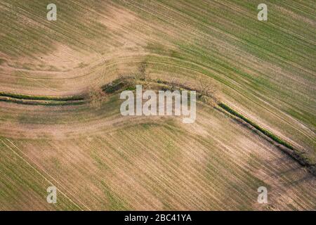 Textures and patterns of farming field at early spring - top down drone point of view
