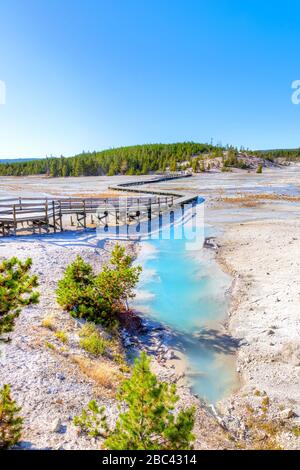 Porcelain Basin boardwalk trail surrounded by geothermal pools inside Norris Geyser Basin of Yellowstone National Park, Wyoming, USA. Stock Photo