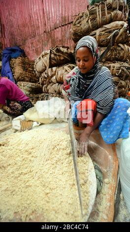 Ethiopian woman chopping ensete ( false banana tree ) in preparation of ...