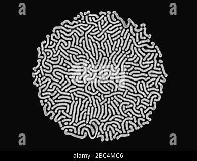 biological material isolated on black Stock Vector